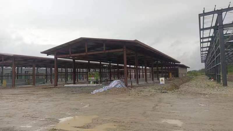 Steel Factory Building Shouning County Edible Fungi Whole Industry Chain Development Project