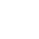 Icon Network