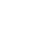 Icon Partners