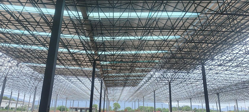 Steel Structure Budget