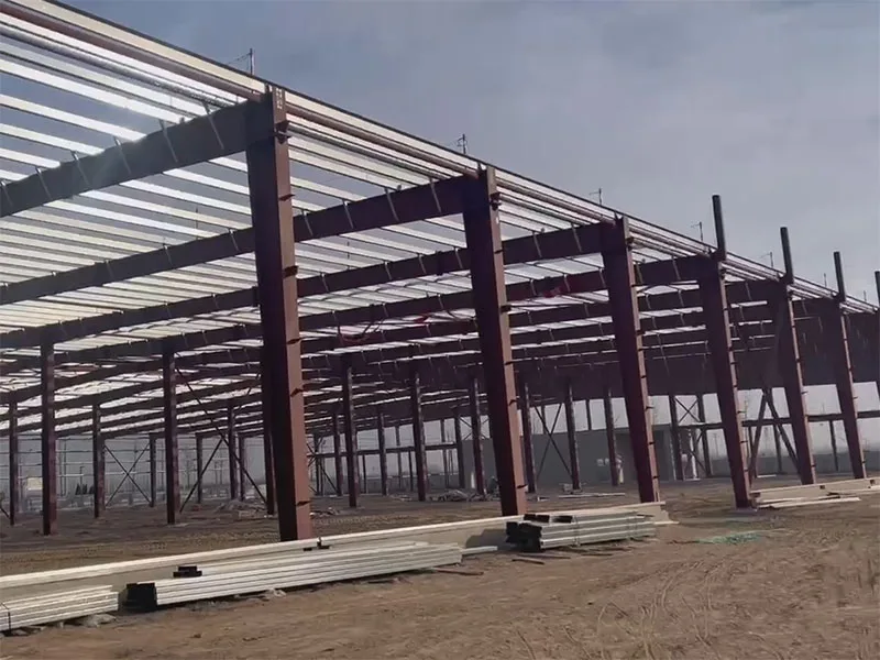 Steel Structure Factory | Hebei Jin’ou Medical Industry Park