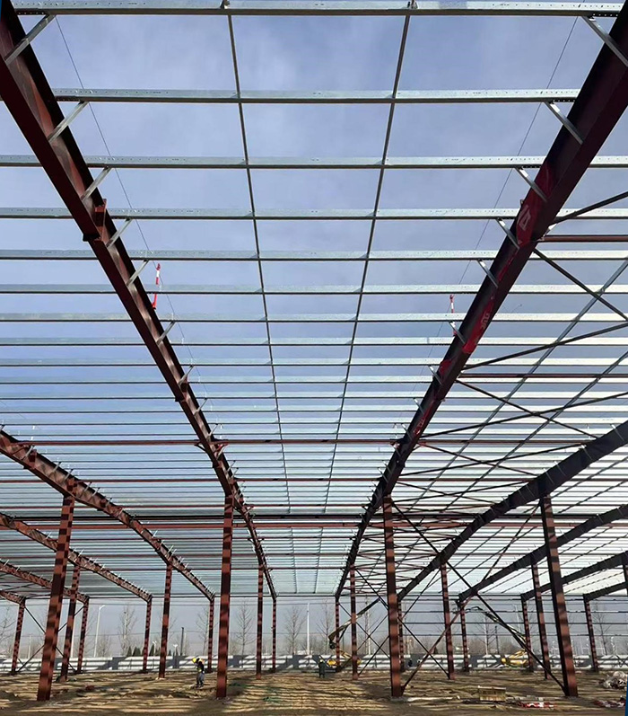 Steel Structure Warehouses