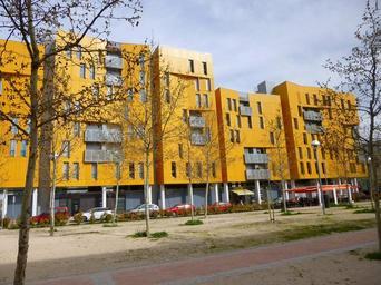 Eco-conscious trends and innovation. building